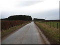 Country road heading south near Newbigging Birks