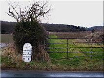 SE7385 : Sinnington Milepost by David Rogers