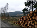 SH7949 : Timber stack, Gwydir Forest by Eirian Evans