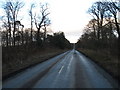 Looking towards the Long Avenue at Mellerstain