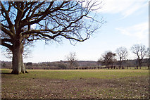 TQ7120 : Field near Baldwin's Farm by Oast House Archive