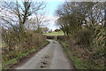 Bend in the road just past Bryn-mawr