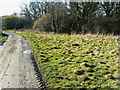 Track to the sewage works, Lower Compton