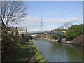 Walsall Canal - Wellington Bridge