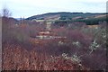 Above the Urlar Burn