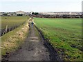 Bridleway to Throckley North Farm