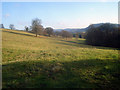 Sheep pasture near Barn Farm