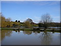 Hawkhurst Lakes