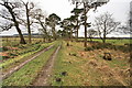 Footpath to River Brock