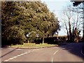 The junction where Chivers Road meets Ongar Road