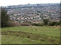 View across Folkestone rooftops from Creteway Down 1