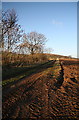 NO4146 : Farm track near Nether Hayston by Dan