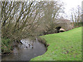 The River Isle at Hornsbury Mill