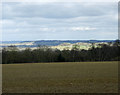 2009 : View North, top of Naish Hill