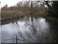 Stream at Edlesborough - View northwards