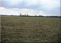 TL4554 : Farmland stubble by Mr Ignavy