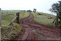 Restricted byway to Pentre Bach