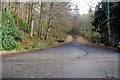 Old road up the Byreburn