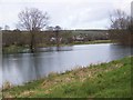 Fishing lake near Tolpuddle