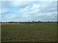 SJ7037 : Farmland, Norton in Hales by Simon Huguet