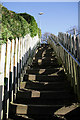 Steps up to Ladhope Crescent