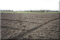 Ploughed Footpath