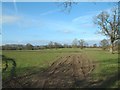 Farmland off Moss Lane