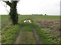 TR2859 : Looking W along footpath from Knell Lane by Nick Smith
