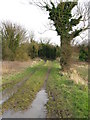 TR2859 : Looking E along footpath to Knell Lane by Nick Smith