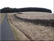 NY9479 : Country road and bendy wall by Oliver Dixon