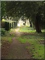 Path, rear of Croft Road, Torquay