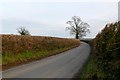 Country Lane near Stake Ford Cross