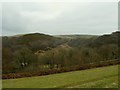 Cleave Wood to the left, Shelfin wood to the right, Oakridge Farm in the centre