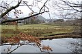 View towards Loweswater