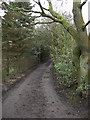 Bridleway to Windy Bottom Farm