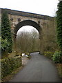 Den Lane as it passes under Uppermill Viaduct