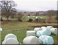 Landscape with bales