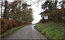 NT4863 : The road to Bankhead Farm by James Denham