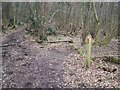 Footpath junction near Stansted Lodge Farm