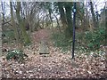 Footbridge in small woods near St Vincents Lane