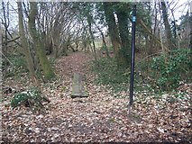 TQ6458 : Footbridge in small woods near St Vincents Lane by David Anstiss