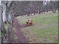 Wooden Bench in Pitcaple Woods