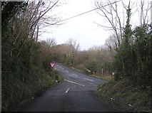 G8852 : Road at Cloghan by Kenneth  Allen