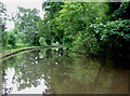 Trent and Mersey Canal near Shugborough, Staffordshire