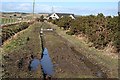 Muddy Footpath