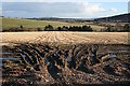 Farmland in Grange