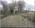 Track bed for the old Rosebush railway