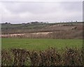 Across Fenton Brook