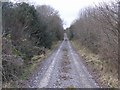 G9545 : Lane at Gortnaderrary by Kenneth  Allen