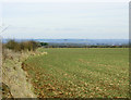 2009 : Looking east off Chippenham Lane